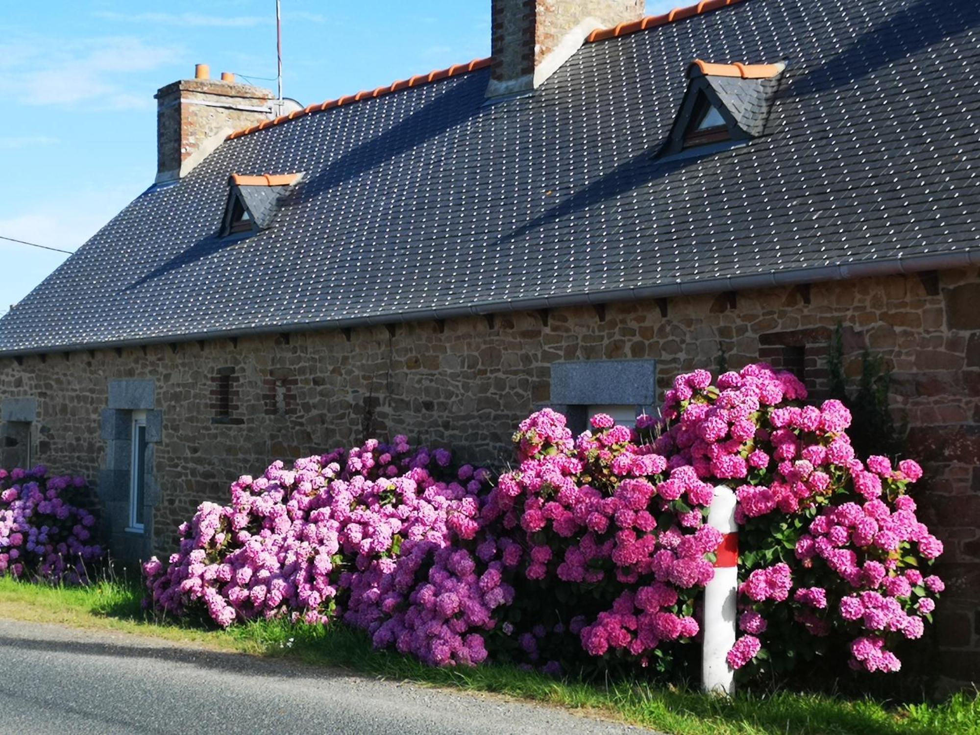 Gite Breton Sur La Cote De Granit Rose Villa Pleudaniel Exterior foto